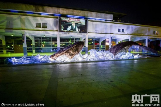 巨型鲸鱼雕塑 7万回收塑料瓶打造（组图）