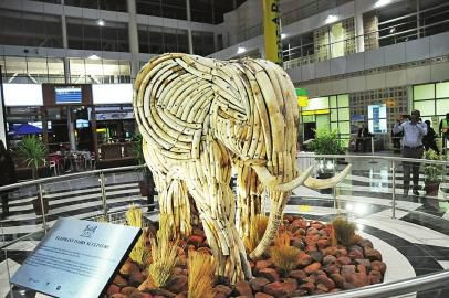 象牙大象雕塑亮相博茨瓦纳首都机场