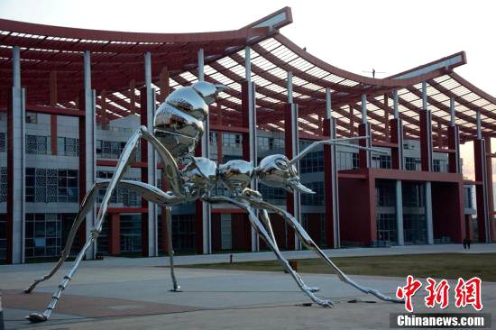 福建漳州现大型蚂蚁雕塑